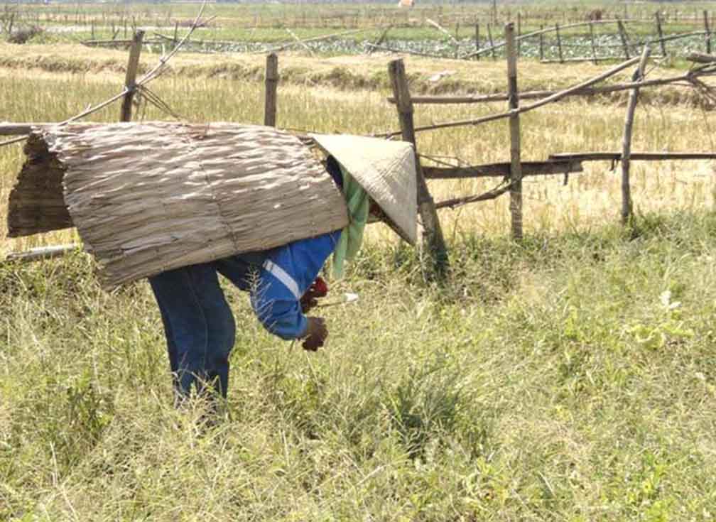 Áo tơi mẹ mặc một thời ở Hà Tĩnh